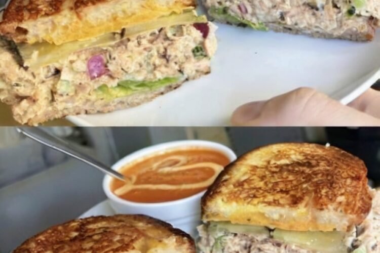 Tuna Sandwich