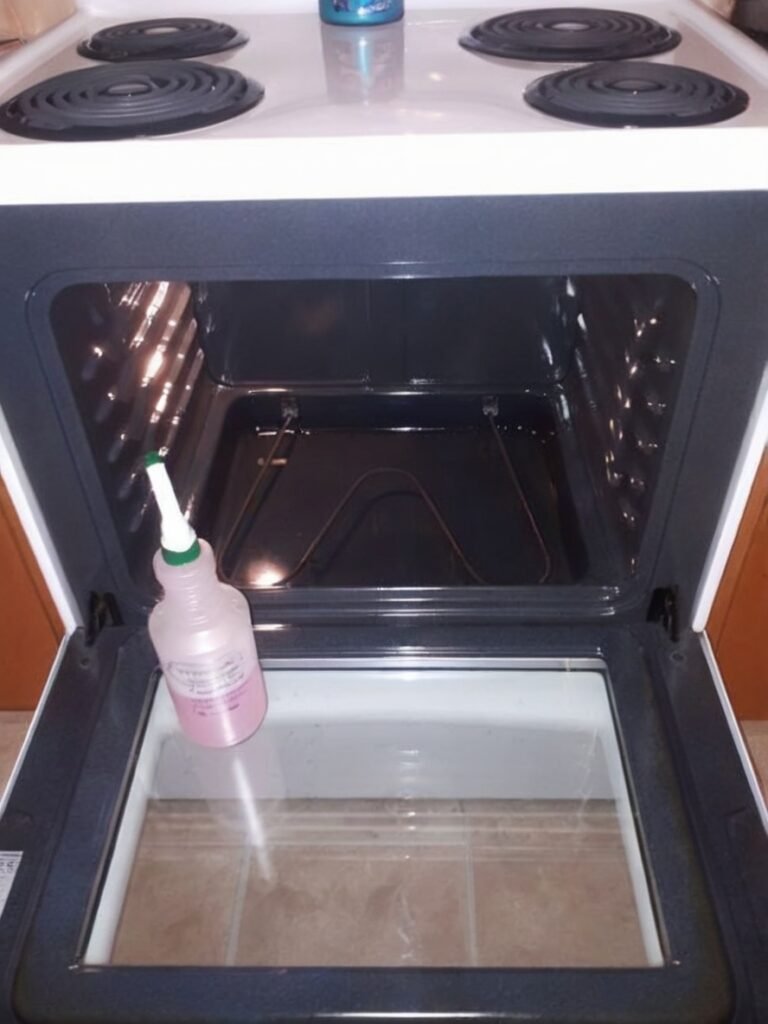 The Citrus Steam Secret: Natural DIY Oven Cleaner